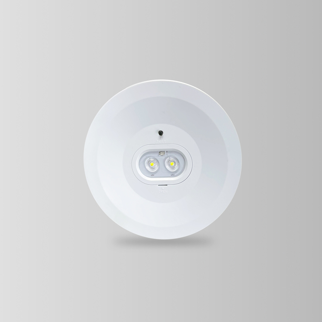 BY-T1103E&BY-T1106E-EMERGENCY DOWN LIGHT