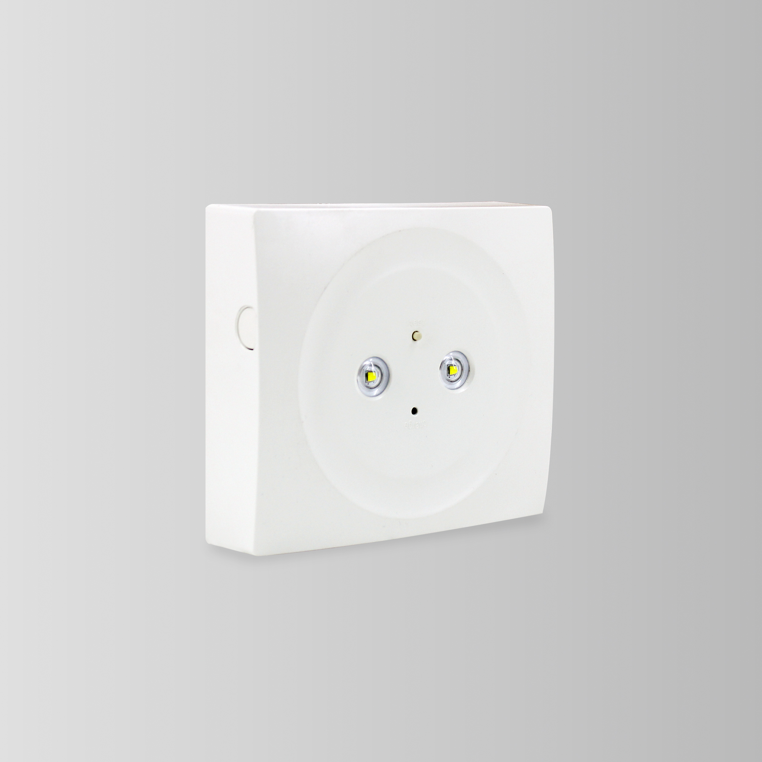 BY-Z1703S&BY-Z1706S-EMERGENCY DOWN LIGHT