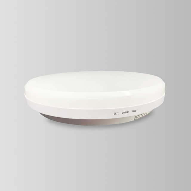 BY-Z1015E&BY-Z1018E&BY-Z1024E-Emergency Ceiling Light