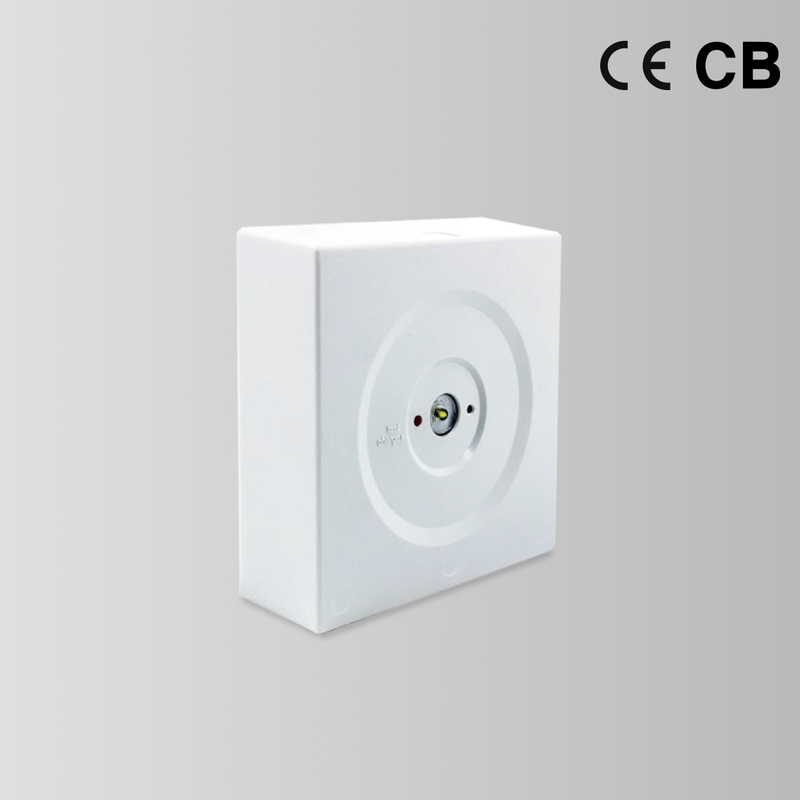 BY-Z-NI-2003S&BY-Z-NI-2005S-EMERGENCY DOWN LIGHT