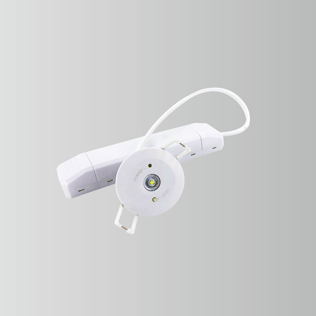 BY-T1003E-EMERGENCY DOWN LIGHT