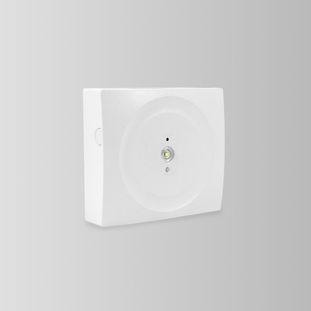 BY-Z1703S&BY-Z1706S-EMERGENCY DOWN LIGHT
