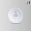 BY-T1103E&BY-T1106E-EMERGENCY DOWN LIGHT