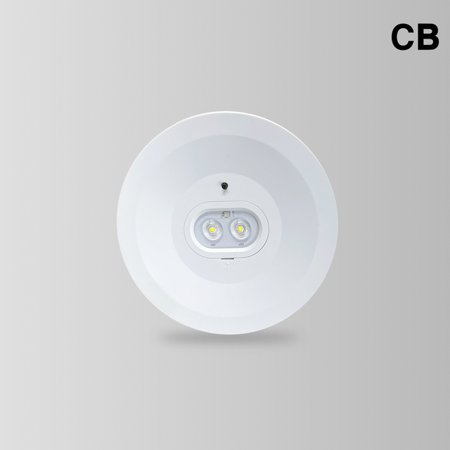 BY-T1103E&BY-T1106E-EMERGENCY DOWN LIGHT