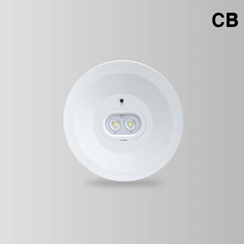 BY-T1103E&BY-T1106E-EMERGENCY DOWN LIGHT