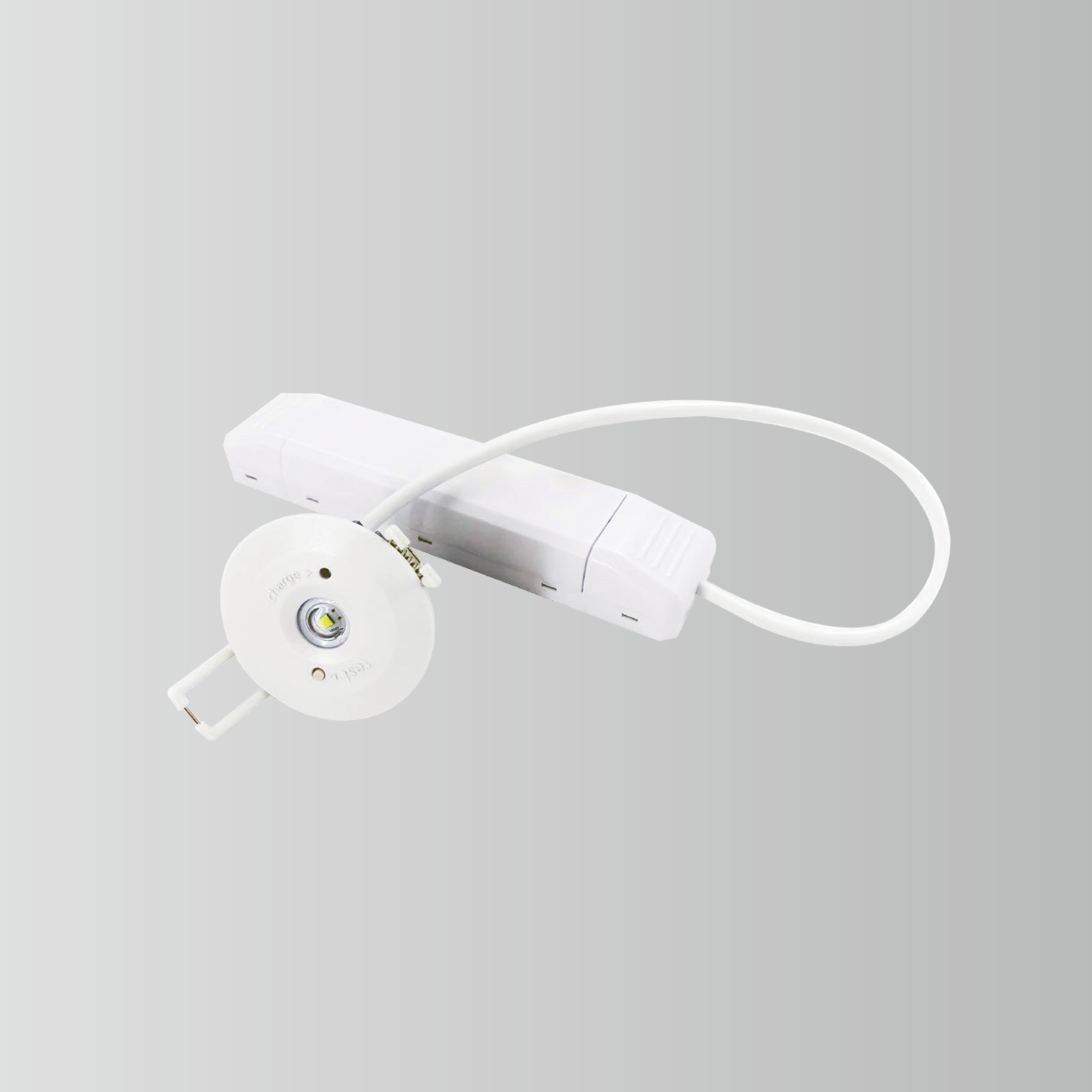 BY-T1003E-EMERGENCY DOWN LIGHT