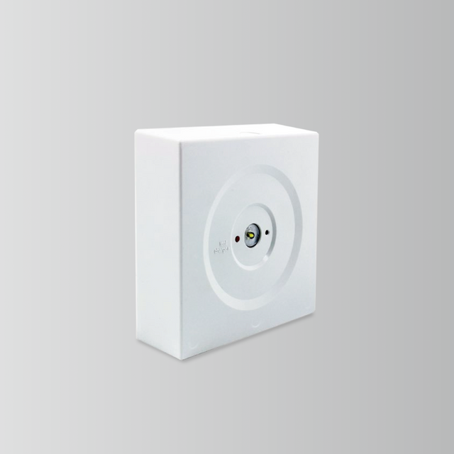BY-Z-NI-2003S&BY-Z-NI-2005S-EMERGENCY DOWN LIGHT
