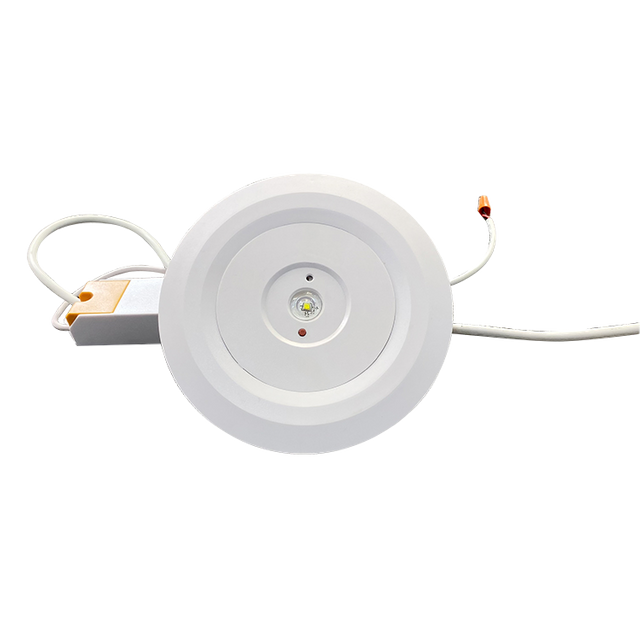 BY-Z1003S-EMERGENCY DOWN LIGHT