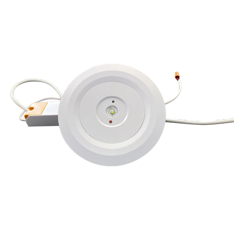 BY-Z1003S-EMERGENCY DOWN LIGHT