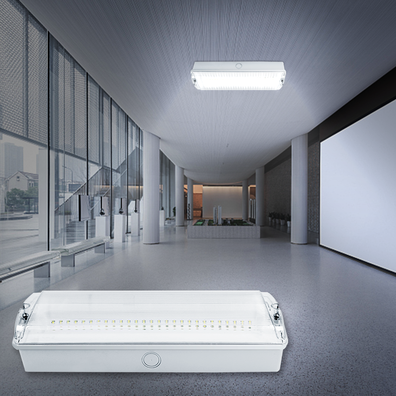 BAIYI HOT Ip65 Rechargeable Led Bulkhead 3H Battery Backup Led Emergency Lights