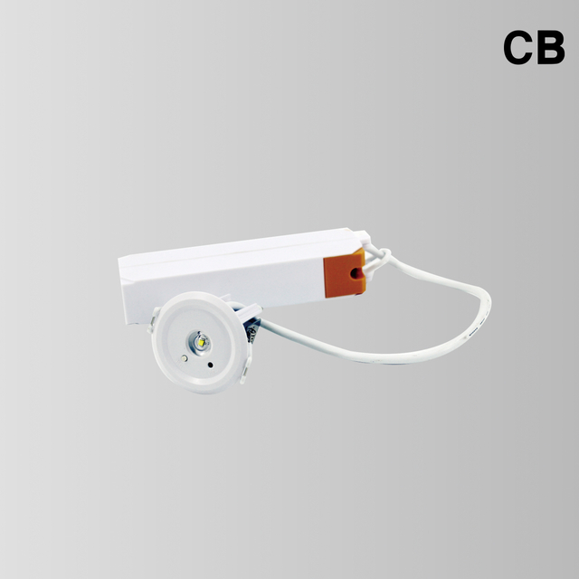 BY-Z-NI-1003S&BY-Z1103S-EMERGENCY DOWN LIGHT