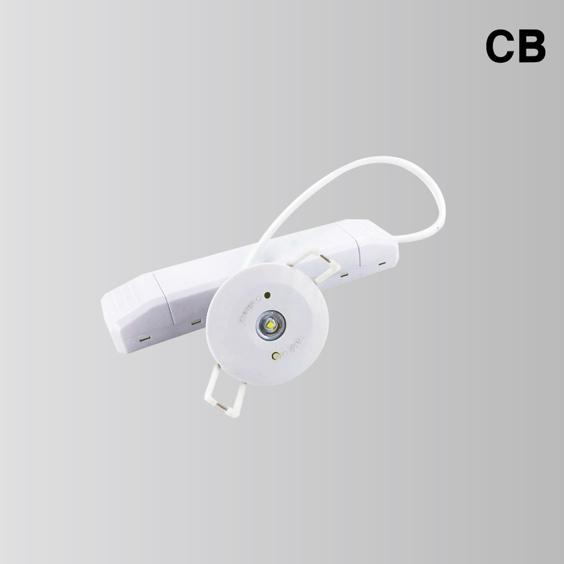 BY-T1003E-EMERGENCY DOWN LIGHT