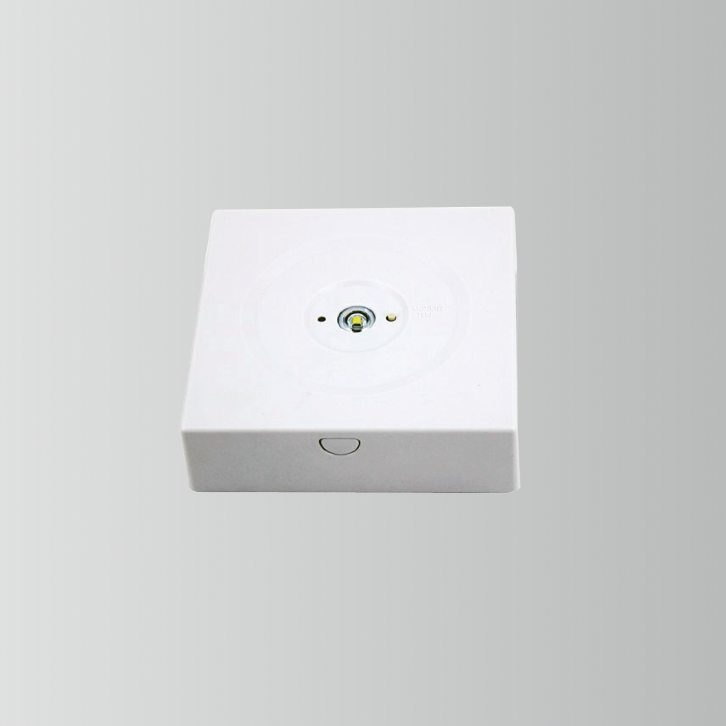 BY-Z-NI-2003S&BY-Z-NI-2005S-EMERGENCY DOWN LIGHT