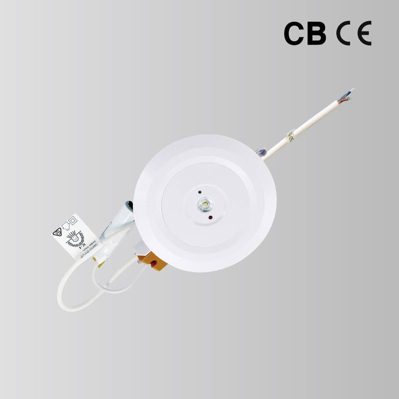 BY-Z1003S-EMERGENCY DOWN LIGHT