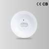 BY-T1006E1-EMERGENCY DOWN LIGHT