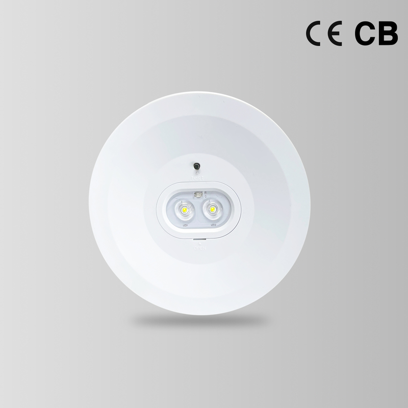 BY-T1006E1-EMERGENCY DOWN LIGHT