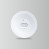 BY-T1006E1-EMERGENCY DOWN LIGHT