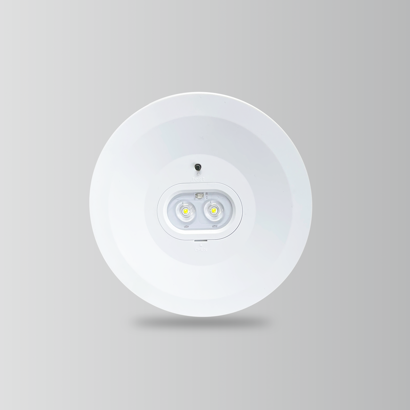 BY-T1006E1-EMERGENCY DOWN LIGHT