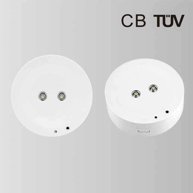 BY-T1706E1 EMERGENCY DOWN LIGHT