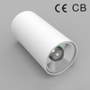 EMERGENCYI DECORATIVE LIGHT BY-Z6303E-white