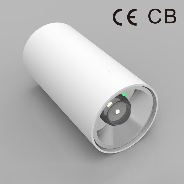 EMERGENCYI DECORATIVE LIGHT BY-Z6303E-white