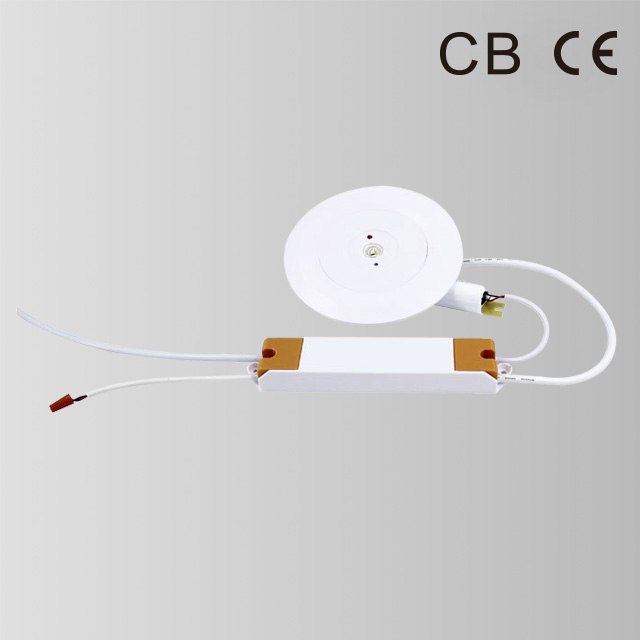 EMERGENCY DOWN LIGHT BY-Z1105S
