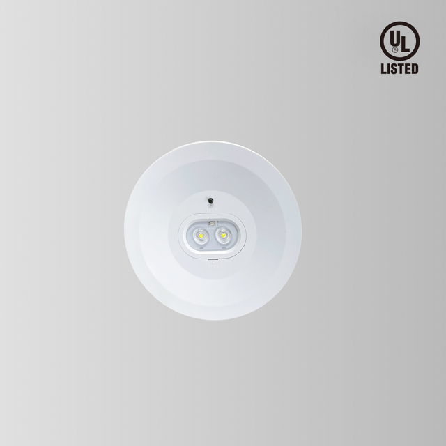 BY-T8206U-EMERGENCY DOWN LIGHT