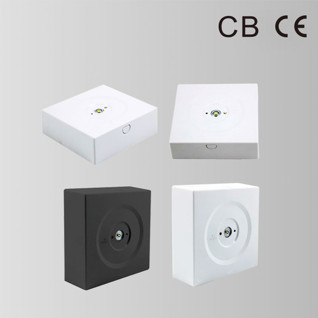 BY-Z-NI-2005S EMERGENCY DOWN LIGHT