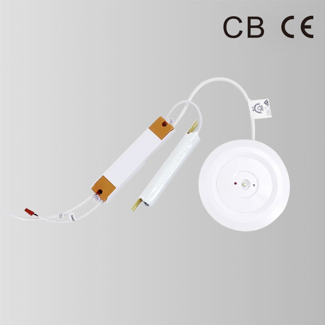 EMERGENCY DOWN LIGHT BY-Z1105S