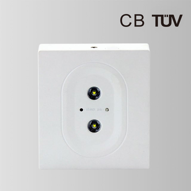 BY-Z2305E-EMERGENCY DOWN LIGHT