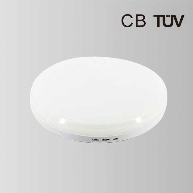 BY-Z1115E-Emergency Ceiling Light