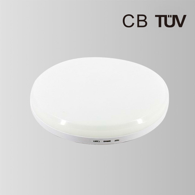BY-Z1115E-Emergency Ceiling Light