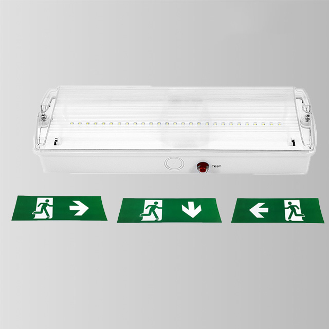 Self-test Easy Install Led Emergency Bulkhead BY-Z5445E2-T