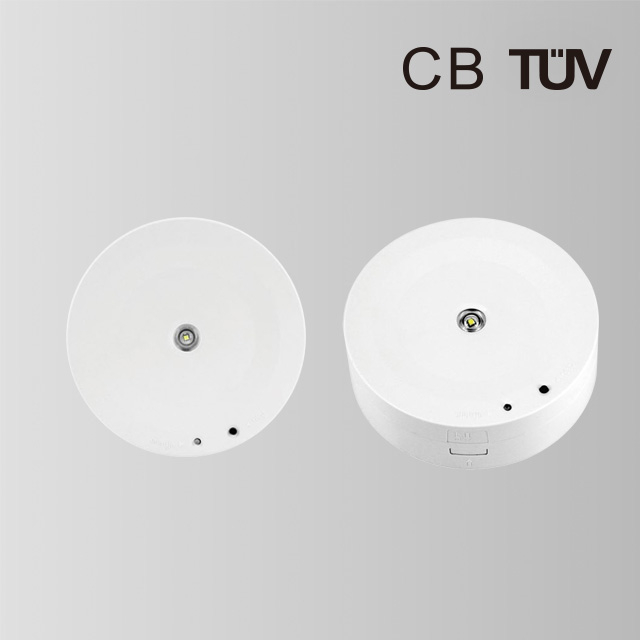 BY-T1703E1-EMERGENCY DOWN LIGHT