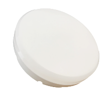 BY-Z1115E-Emergency Ceiling Light