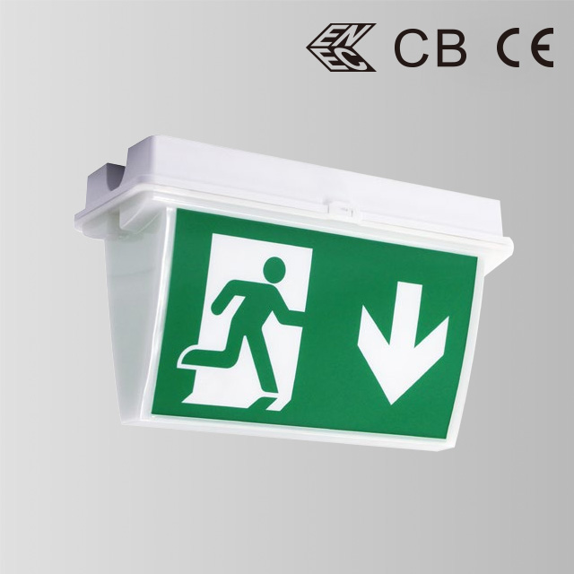 The Best Selling Emergency Exit Light With Exit Sigh Wall Mounted And Ceiling Mounted BY-B2036E