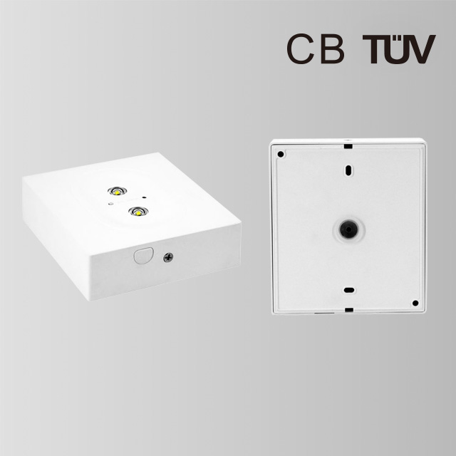 BY-Z2305E-EMERGENCY DOWN LIGHT