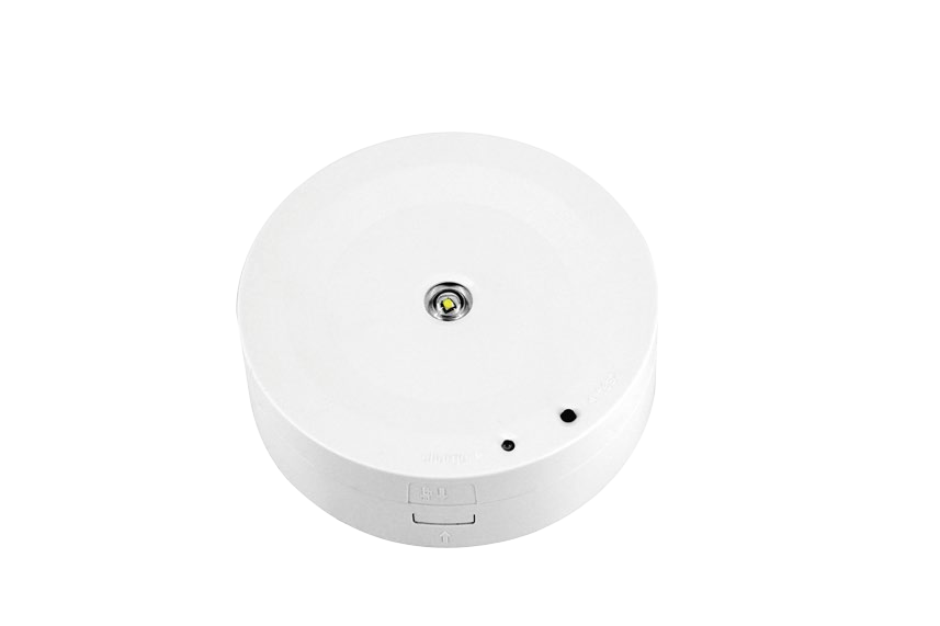 BY-T1703E1-EMERGENCY DOWN LIGHT