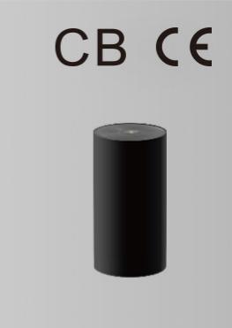 EMERGENCYI DECORATIVE LIGHT BY-Z6303E-black