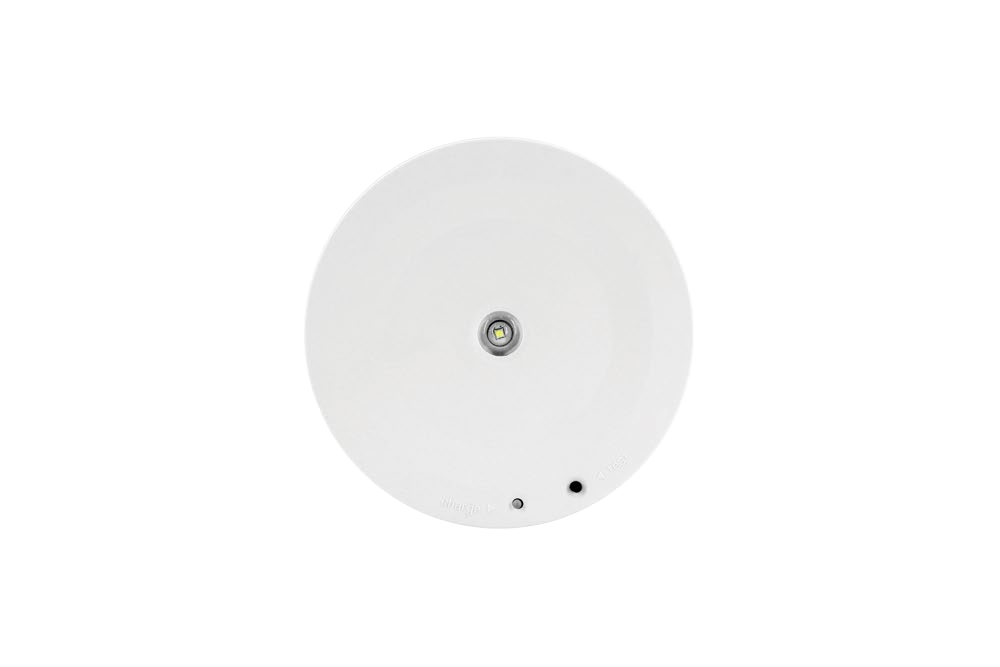 BY-T1703E1-EMERGENCY DOWN LIGHT