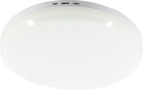 BY-Z1015E&BY-Z1018E&BY-Z1024E-Emergency Ceiling Light