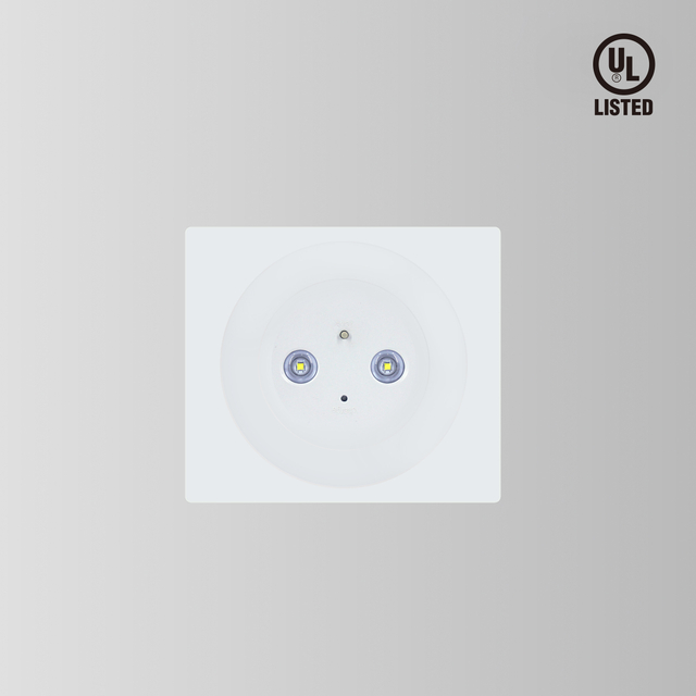 BY-T8316U-EMERGENCY DOWN LIGHT