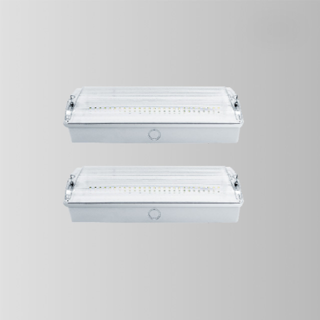 Surface Mounted Ip65 Led Emergency Bulkhead Light BY-Z2645E-T