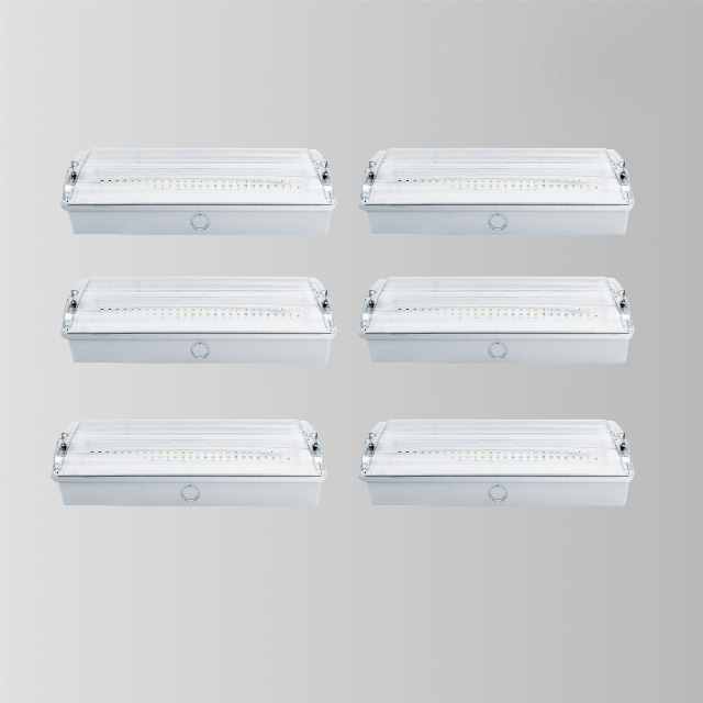 Industrial Emergency Led Light White Color Mounted Emergency Bulkhead Light BY-Z2645E3-T